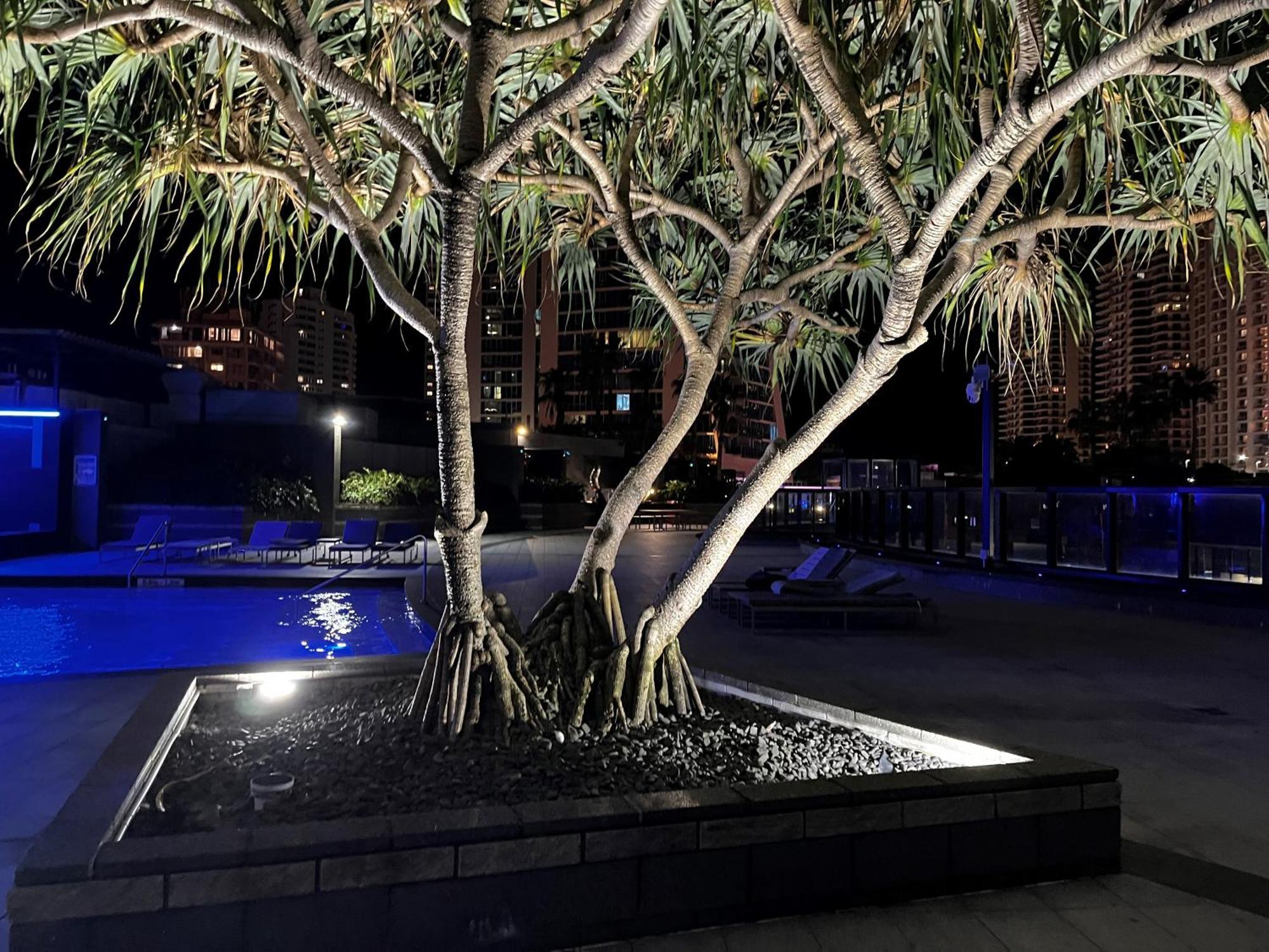 Circle On Cavil Holidays Gold Coast Buitenkant foto